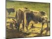 Giclee Print