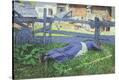 Stretched Canvas Print