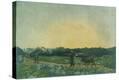 Stretched Canvas Print