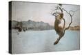 Stretched Canvas Print