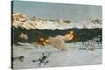 Stretched Canvas Print