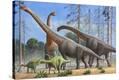 Stretched Canvas Print