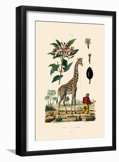 Giraffe, 1833-39-null-Framed Giclee Print