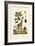 Giraffe, 1833-39-null-Framed Giclee Print