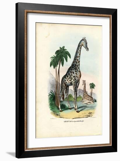 Giraffe, 1863-79-Raimundo Petraroja-Framed Giclee Print