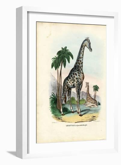 Giraffe, 1863-79-Raimundo Petraroja-Framed Giclee Print