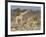 Giraffe and baby on guard, Etosha National Park-Darrell Gulin-Framed Photographic Print