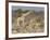 Giraffe and baby on guard, Etosha National Park-Darrell Gulin-Framed Photographic Print