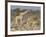 Giraffe and baby on guard, Etosha National Park-Darrell Gulin-Framed Photographic Print