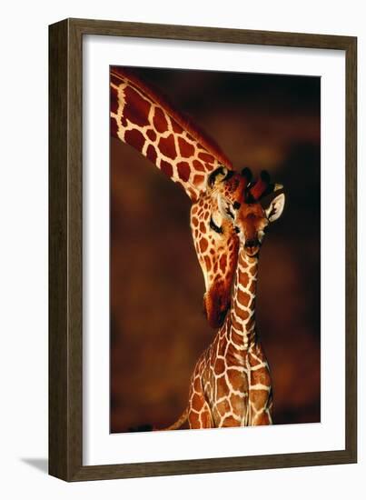 Giraffe and Baby-Lantern Press-Framed Art Print