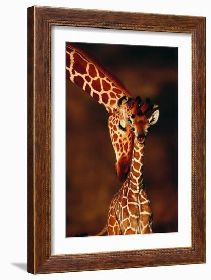 Giraffe and Baby-Lantern Press-Framed Art Print