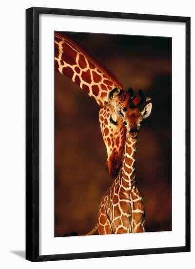Giraffe and Baby-Lantern Press-Framed Art Print