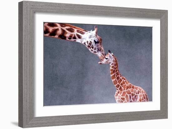 Giraffe and Calf-Lantern Press-Framed Art Print