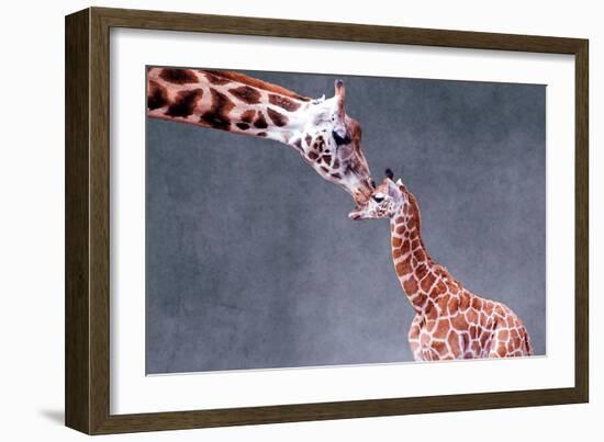 Giraffe and Calf-Lantern Press-Framed Art Print