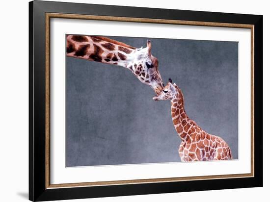 Giraffe and Calf-Lantern Press-Framed Art Print