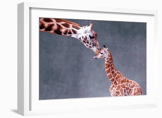 Giraffe and Calf-Lantern Press-Framed Art Print