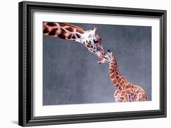 Giraffe and Calf-Lantern Press-Framed Art Print