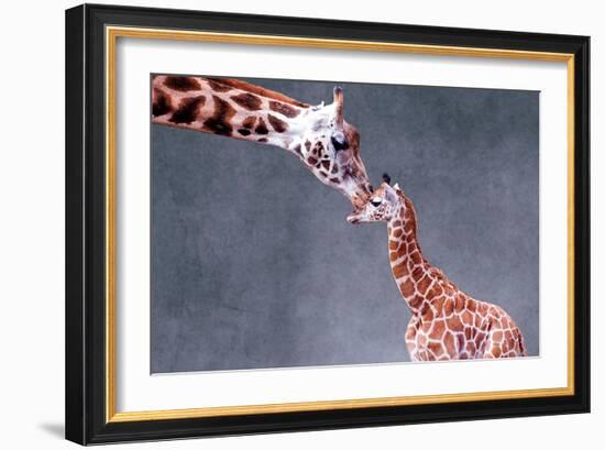 Giraffe and Calf-Lantern Press-Framed Art Print