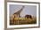 Giraffe and Elephant on the Savanna-Paul Souders-Framed Photographic Print