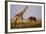 Giraffe and Elephant on the Savanna-Paul Souders-Framed Photographic Print