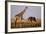 Giraffe and Elephant on the Savanna-Paul Souders-Framed Photographic Print