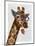 Giraffe and Flower Glasses 2-Fab Funky-Mounted Art Print