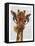 Giraffe and Flower Glasses 3-Fab Funky-Framed Stretched Canvas