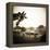 Giraffe and Friends Falcon Ridge Texas-Theo Westenberger-Framed Premier Image Canvas