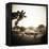 Giraffe and Friends Falcon Ridge Texas-Theo Westenberger-Framed Premier Image Canvas