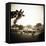 Giraffe and Friends Falcon Ridge Texas-Theo Westenberger-Framed Premier Image Canvas