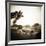 Giraffe and Friends Falcon Ridge Texas-Theo Westenberger-Framed Photographic Print