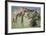 Giraffe and Young Eating a Bush-DLILLC-Framed Photographic Print