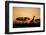 Giraffe at Dusk, Chobe National Park, Botswana-Paul Souders-Framed Photographic Print