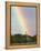 Giraffe, at End of Rainbow, Etosha National Park, Namibia-Tony Heald-Framed Premier Image Canvas