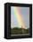 Giraffe, at End of Rainbow, Etosha National Park, Namibia-Tony Heald-Framed Premier Image Canvas