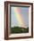 Giraffe, at End of Rainbow, Etosha National Park, Namibia-Tony Heald-Framed Photographic Print