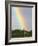 Giraffe, at End of Rainbow, Etosha National Park, Namibia-Tony Heald-Framed Photographic Print