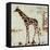 Giraffe Attack-Jodi Maas-Framed Premier Image Canvas