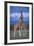 Giraffe Couple-DLILLC-Framed Photographic Print