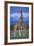 Giraffe Couple-DLILLC-Framed Photographic Print