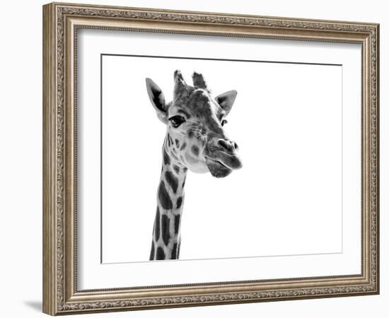 Giraffe Expressionism-SD Smart-Framed Photographic Print