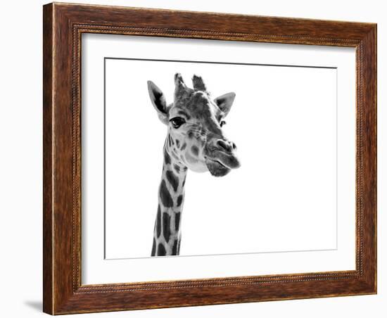Giraffe Expressionism-SD Smart-Framed Photographic Print