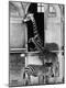 Photographic Print