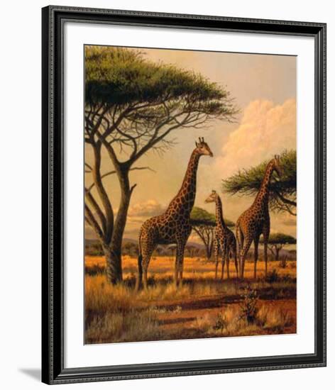 Giraffe Family-Clive Kay-Framed Art Print