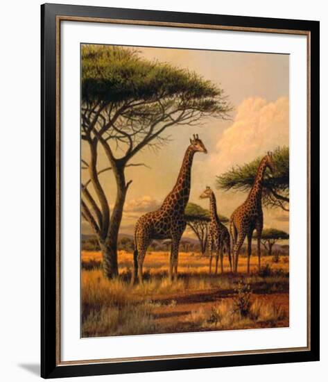 Giraffe Family-Clive Kay-Framed Art Print