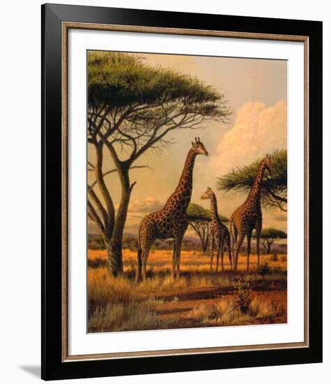 Giraffe Family-Clive Kay-Framed Art Print