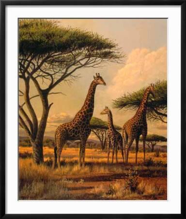 Giraffe Family Art Print Clive Kay Art Com