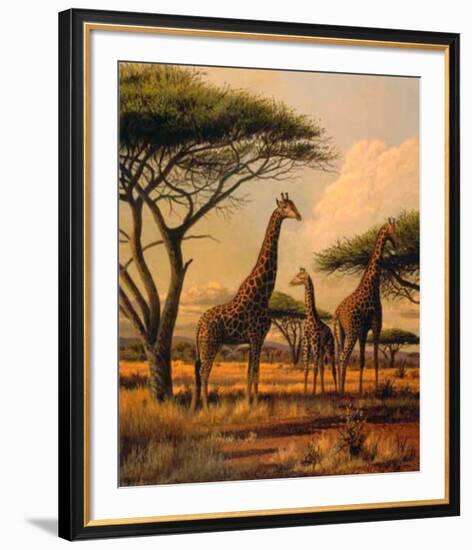 Giraffe Family-Clive Kay-Framed Art Print