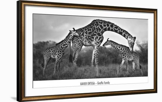 Giraffe Family-Xavier Ortega-Framed Art Print