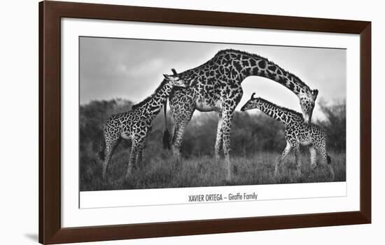 Giraffe Family-Xavier Ortega-Framed Art Print